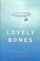 Essays on The Lovely Bones